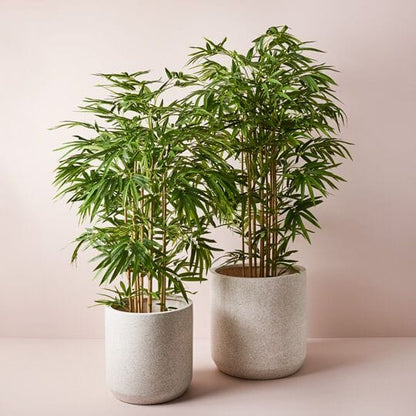 Bamboo Golden Faux Plant 180cm