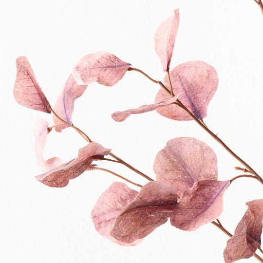 Eucalyptus Spray in Dusty Pink 96cm