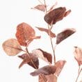 Eucalyptus Artificial Spray in Brown 96cm