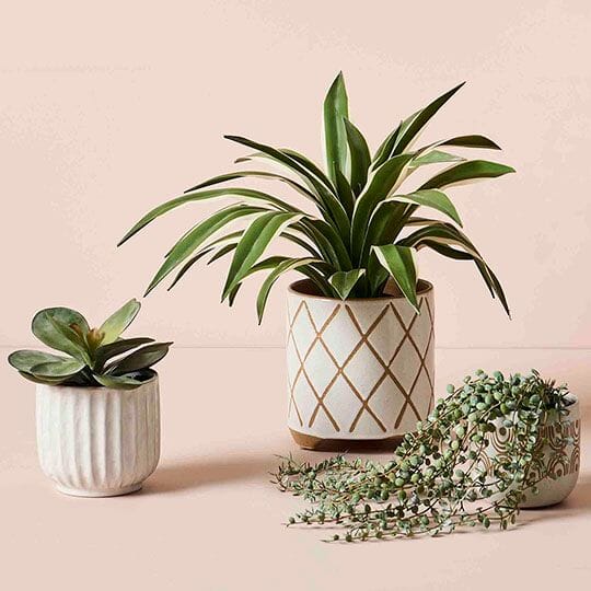 Dalia Footed Pot White Med (Save 17%)