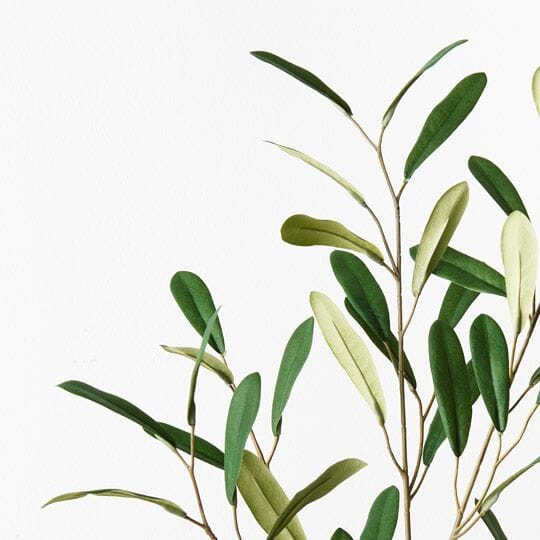 Olive Leaf Faux Spray in Green  92cm