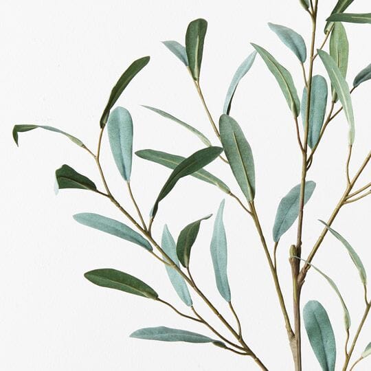 Olive Leaf Artificial Spray in Grey/Green 92cm