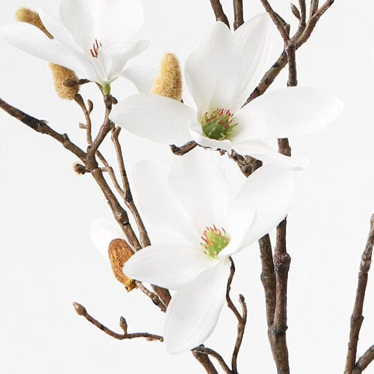 Magnolia Bud Artificial Spray in White - 100cm