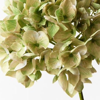 Hydrangea Faux Green 47cm