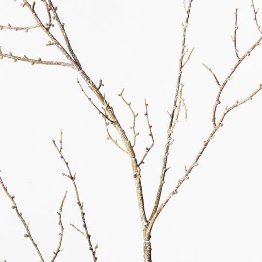 Twig Artificial Spray in Brown 127cm