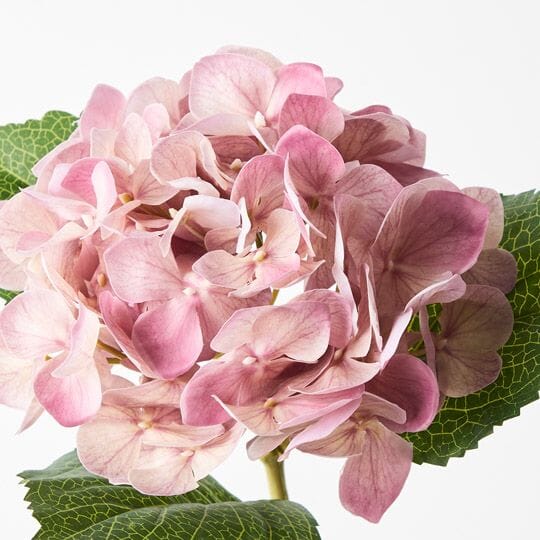 Hydrangea Real Touch in Mauve 63cm