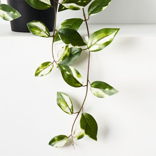 Hoya Real-Touch Artificial Hanging Bush in Pot 32cm