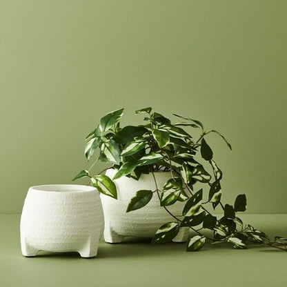 Hoya Real-Touch Artificial Hanging Bush in Pot 32cm