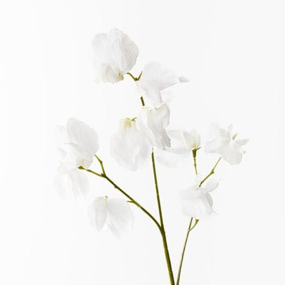 Sweet Pea Faux Spray Winter White 60cm