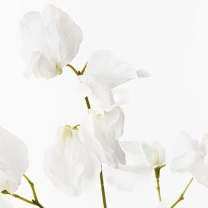 Sweet Pea Faux Spray Winter White 60cm