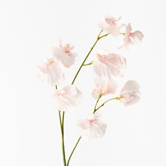 Sweet Pea Faux Spray Soft Pink - 60cm (Save 18%)