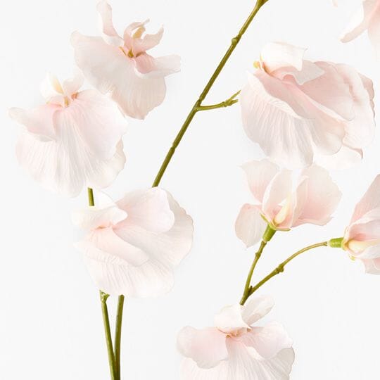Sweet Pea Faux Spray Soft Pink - 60cm (Save 18%)