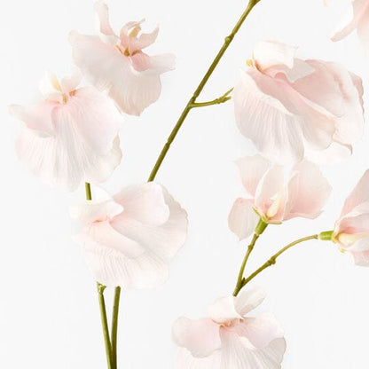 Sweet Pea Faux Spray Soft Pink - 60cm (Save 18%)