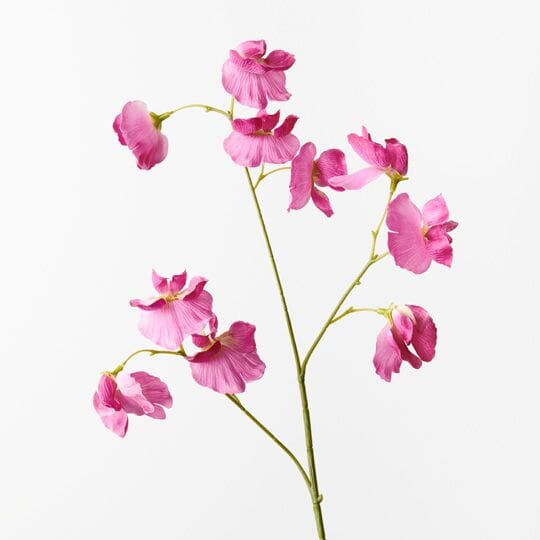Sweet Pea Artificial Spray -  Fuschia 60cm