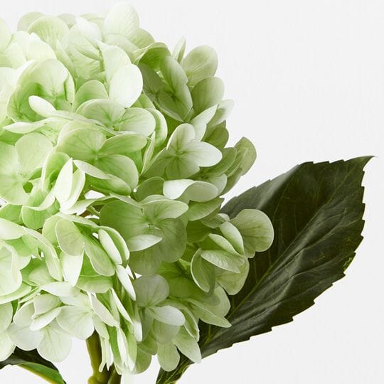 Hydrangea Real Touch in Light Green 49cm