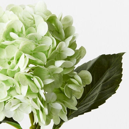 Hydrangea Real Touch in Light Green 49cm