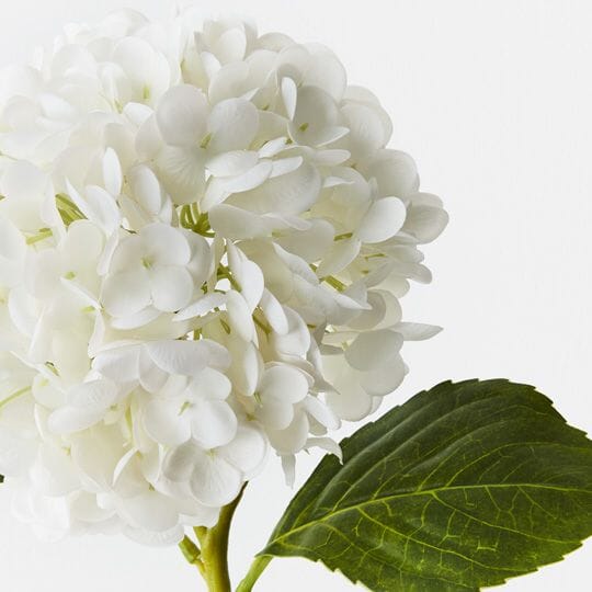 Hydrangea Real Touch in White 49cm
