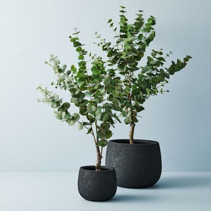 Imeri Stone Textured Pot in Black 37cm