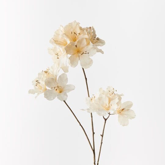 Azalea Artificial Spray in Cream 86cm