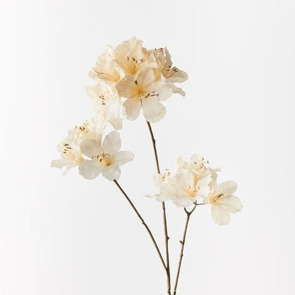 Azalea Artificial Spray in Cream 86cm