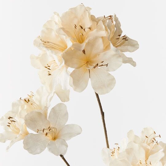 Azalea Artificial Spray in Cream 86cm