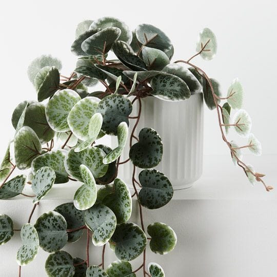 String of Hearts 'Real Touch' in Ribbed White Pot