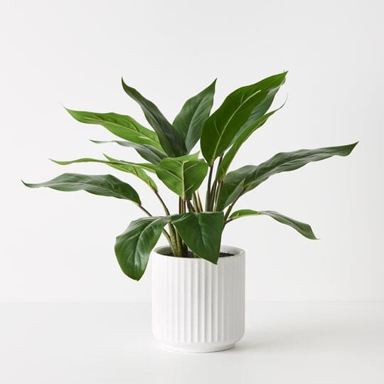 Philodendron Real-Touch Artificial Potted Plant 44cm