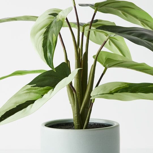 Caladium Artificial Plant in Pot 38cm