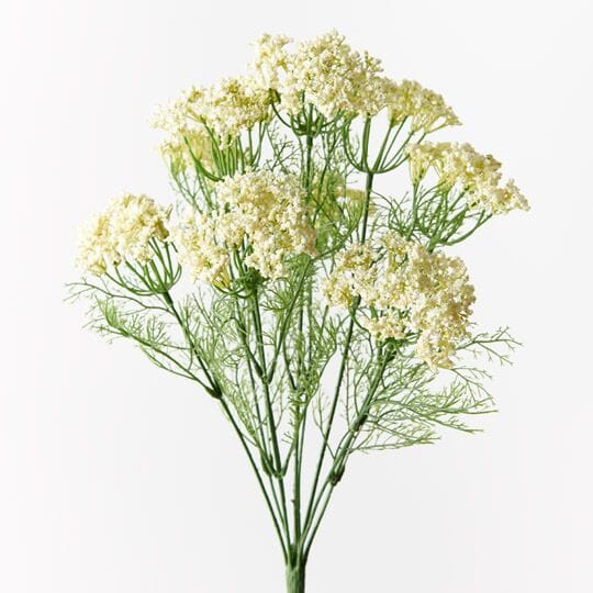 Queen Annes Artificial Lace Bush in White 42cm