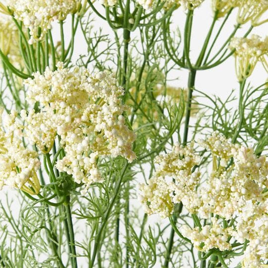 Queen Annes Artificial Lace Bush in White 42cm