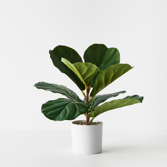 Fiddle Leaf Artificial Plant 33cm