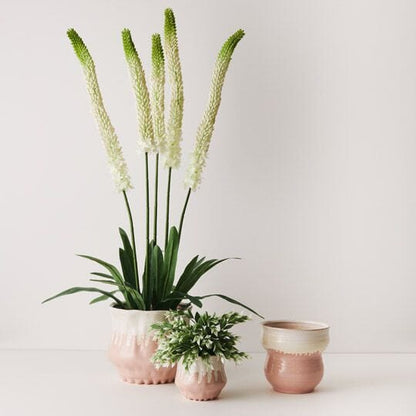 Celine Ceramic Pot in Pink/White 13cm