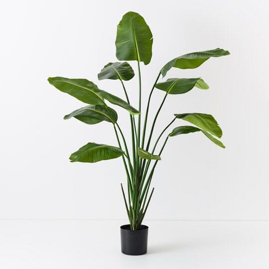 Bird of Paradise Artificial Plant 180cm