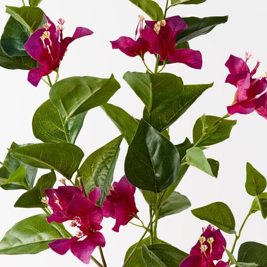 Bougainvillea Artificial Spray in Fuschia 86cm