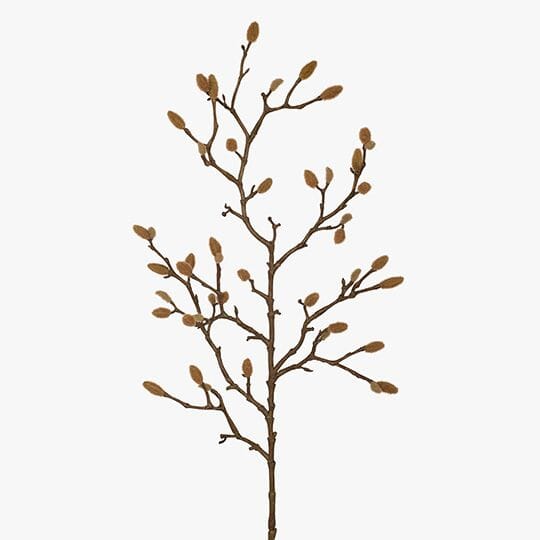 Branch Magnolia Bud Spray in Brown 74cm