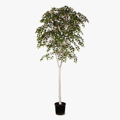 Silver Birch Artificial Tree 213cm