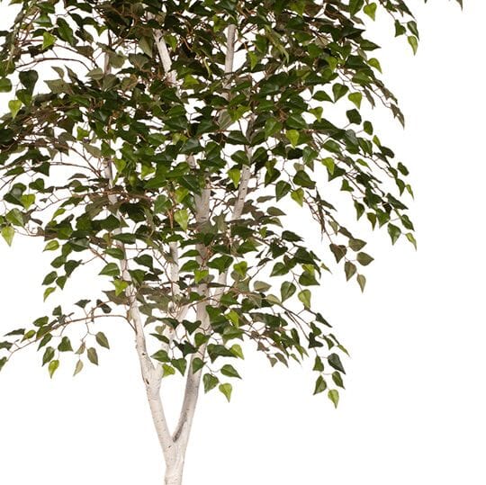 Silver Birch Artificial Tree 213cm