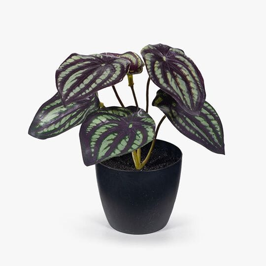 Peperomia Watermelon Artificial Potted Plant in Dark Green 15cm