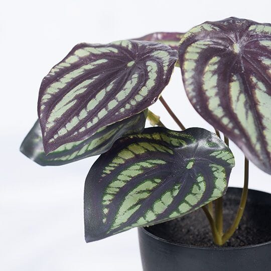 Peperomia Watermelon Artificial Potted Plant in Dark Green 15cm