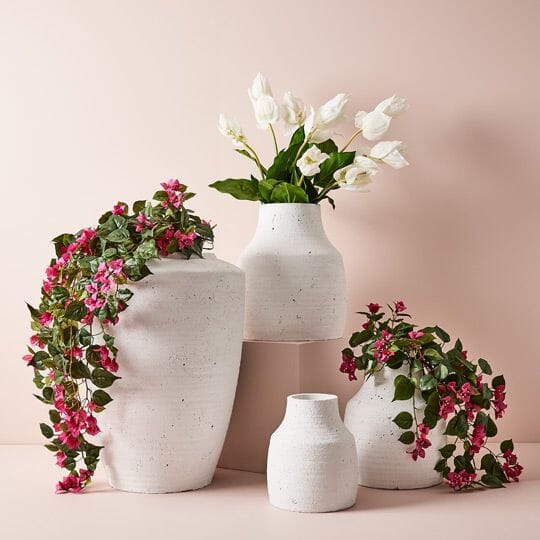 Bougainvillea Hanging Bush in Fuschia 115cm