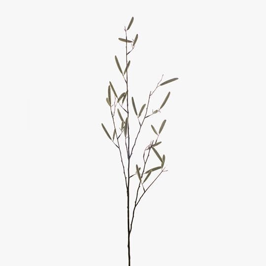 Bean Pod Spray in Natural 89cm