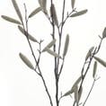 Bean Pod Spray in Natural 89cm