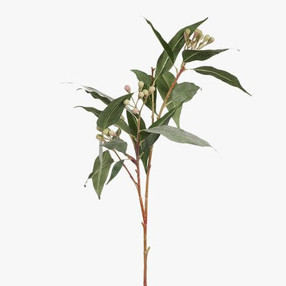 Eucalyptus Seed Spray in Grey/Green 83cm