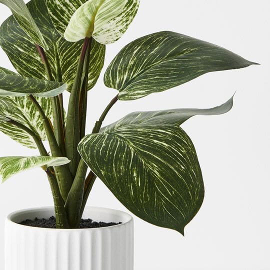 Dieffenbachia Artificial Plant in Pot  33cm