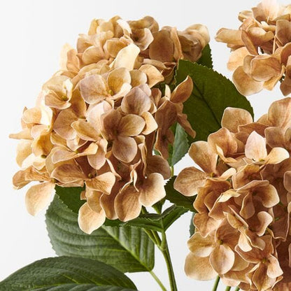 Hydrangea Artificial Bush in Coffee 50cm