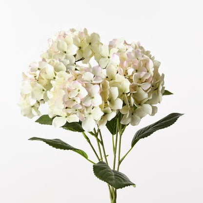 Hydrangea Artificial Bush in Cream/Pink 50cm