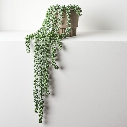String of Artificial Hanging Pearls in Pot - Grey/Green 70cm