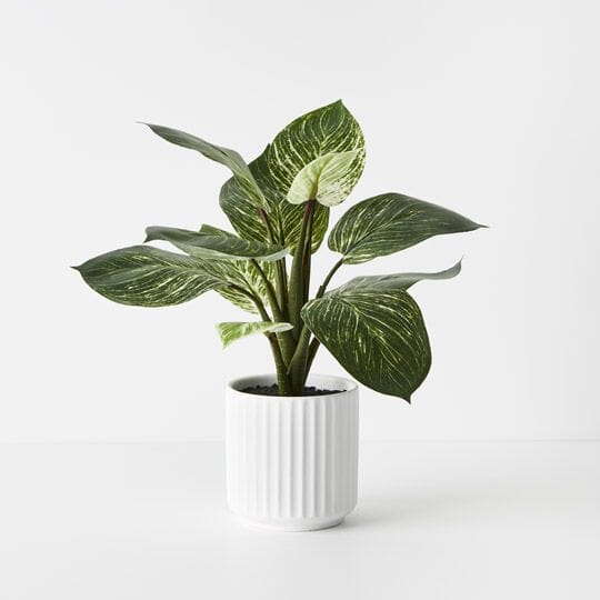 Dieffenbachia Artificial Plant in Pot  33cm