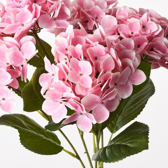 Hydrangea Artificial Bush in Fuschia 50cm