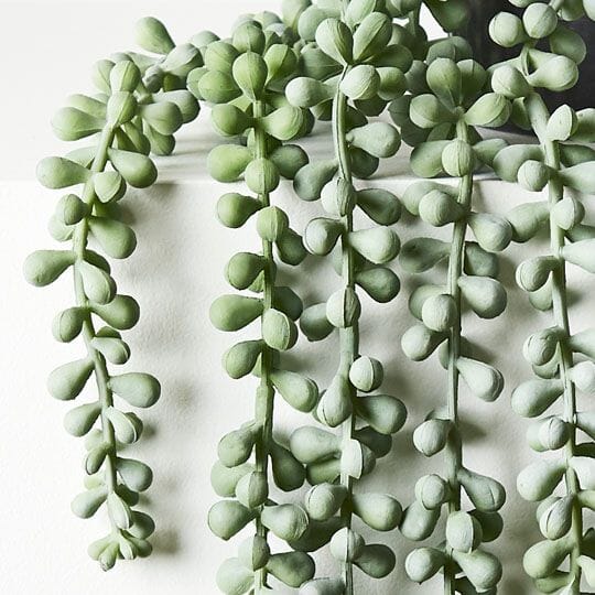 String of Artificial Hanging Pearls in Pot - Grey/Green 70cm